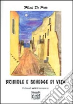 Briciole e schegge di vita libro