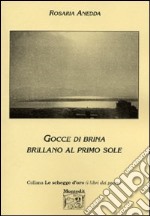 Gocce di brina brillano al primo sole libro