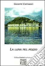 La luna nel pozzo libro