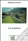 Lo scapolo libro di Carnabuci Giuseppe