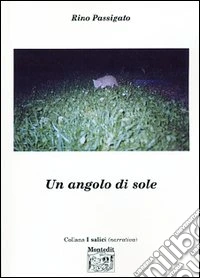 Un angolo di sole libro