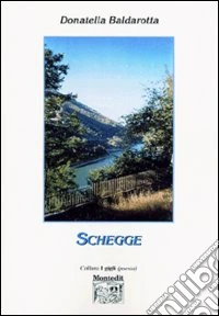 Schegge
