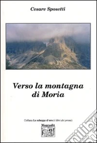 Verso la montagna di Moria libro