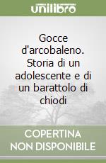 Gocce d'arcobaleno. Storia di un adolescente e di un barattolo di chiodi libro