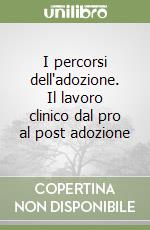 I percorsi dell'adozione. Il lavoro clinico dal pro al post adozione