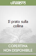 Il prato sulla collina