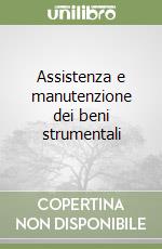 Assistenza e manutenzione dei beni strumentali libro