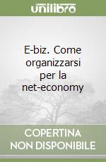 E-biz. Come organizzarsi per la net-economy libro