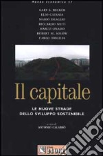 Il capitale. Le nuove strade dello sviluppo sostenibile libro