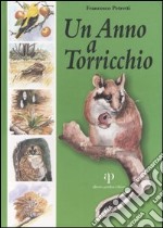 Un anno a Torricchio libro