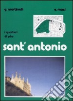 I quartieri di Pisa: Sant'Antonio