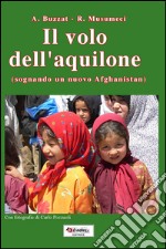 Il volo dell'aquilone