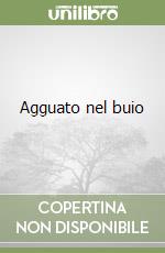 Agguato nel buio libro