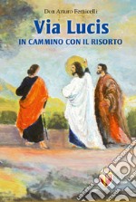 Via lucis. In cammino con il risorto libro