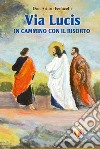 Via lucis. In cammino con il risorto libro di Femicelli Arturo