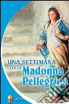 Una settimana con la Madonna Pellegrina libro di Peyron Luca