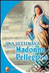 Una settimana con la Madonna Pellegrina libro