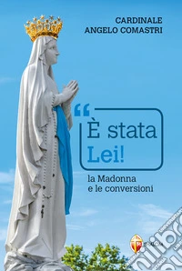 È stata Lei! La Madonna e le conversioni