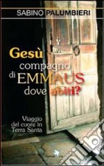 Gesù compagno di Emmaus dove abiti? Viaggio del cuore in Terra Santa libro