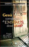 Gesù compagno di Emmaus dove abiti? Viaggio del cuore in Terra Santa libro