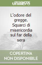 L'odore del gregge. Squarci di misericordia sul far della sera