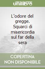 L'odore del gregge. Squarci di misericordia sul far della sera libro