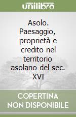 Asolo. Paesaggio, proprietà e credito nel territorio asolano del sec. XVI libro