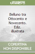 Belluno tra Ottocento e Novecento. Ediz. illustrata libro