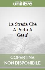 La Strada Che A Porta A Gesu' libro