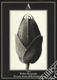 Piccola storia della fotografia. Ediz. illustrata libro