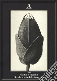 Piccola storia della fotografia. Ediz. illustrata libro