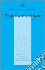 Domenica delle fiamme libro