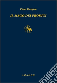 Il mago dei prodigi