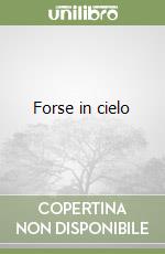 Forse in cielo libro