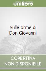 Sulle orme di Don Giovanni libro