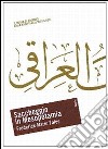 Saccheggio in Mesopotamia. Il Museo di Baghdad dalla nascita dell'Iraq a oggi libro