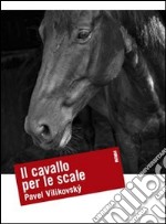 Il cavallo per le scale libro