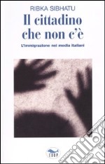 Il cittadino che non c'è. L'immigrazione nei media italiani