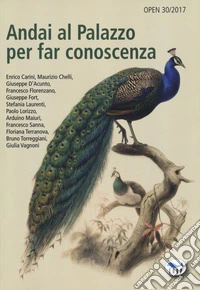 Andai al Palazzo per far conoscenza libro