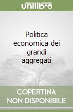 Politica economica dei grandi aggregati libro