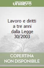 Lavoro e diritti a tre anni dalla Legge 30/2003 libro