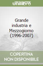 Grande industria e Mezzogiorno (1996-2007) libro