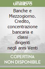 Banche e Mezzogiorno. Credito, concentrazione bancaria e classi dirigenti negli anni Venti libro