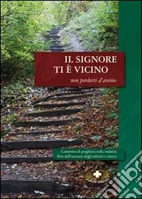 Il Signore ti è vicino non perderti d'anima. Cammino di preghiera nella malattia libro