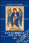 San Gabriele. Forza di Dio libro