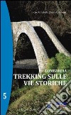 Lombardia. Trekking sulle vie storiche. Vol. 5 libro