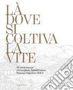 Là dove si coltiva la vite. 50 storie intorno al Conegliano Valdobbiadene Prosecco Superiore DOCG libro