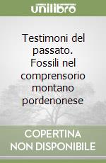 Testimoni del passato. Fossili nel comprensorio montano pordenonese libro