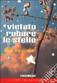 Vietato rubare le stelle libro