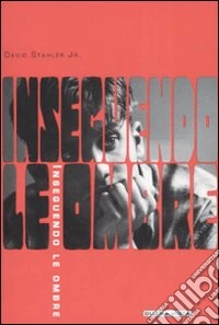 Inseguendo le ombre libro